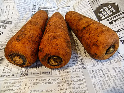 らでぃっしゅのにんじん|らでぃっしゅローソン お試しセット