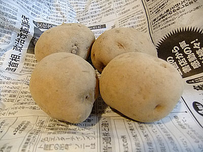 らでぃっしゅのじゃがいも|らでぃっしゅローソン お試しセット