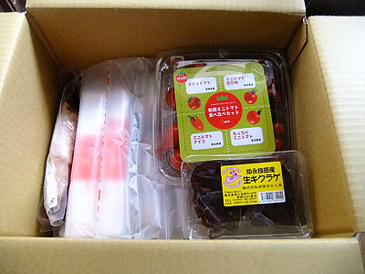 オイシックス(oisix)のお試しセット