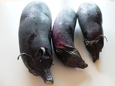 130912_nasu.jpg
